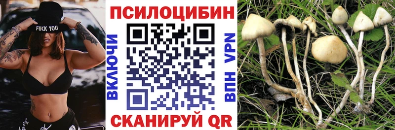 Псилоцибиновые грибы мухоморы  Новокубанск 